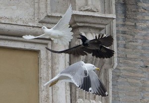 Атаковані у Ватикані “українські” птахи символізували те, що ми таки “прорвемось”?..