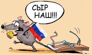 Новий “улов” СБУ: пійманий ватажок диверсійної групи “ДНР”
