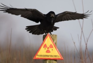 Про що мовчать сепаратисти: Донецьк – під загрозою забруднення радіацією