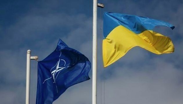 Україна повернулася із саміту НАТО у Варшаві з цілим рядом перемог