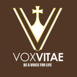 Знаменитий іспанський хор Vox Vitae заспівав Різдвяний “Щедрик” українською мовою