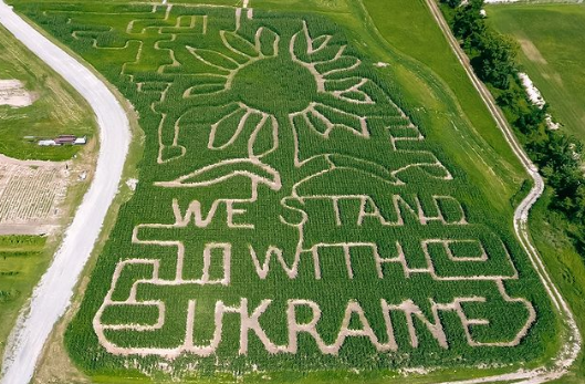 У США родина фермерів створила гігантський лабіринт – на підтримку України
