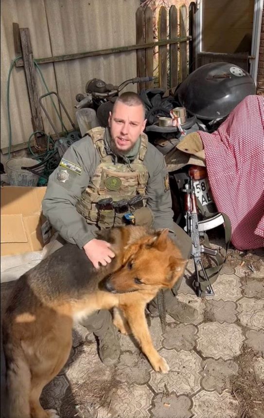 На відміну від окупантів… Українські військові рятують навіть тварин з-під Бахмута